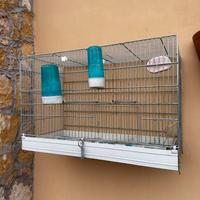 Gabbia da cova professionale zincata