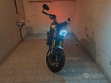 MOTO LEONCINO BENELLI  800 Perfetta Km. 3800 -2024