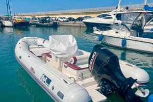 Bwa 6.5 Platinum. Suzuki 200cv 100 ore