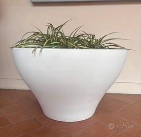 Vaso serralunga ming extra large rodolfo dordoni