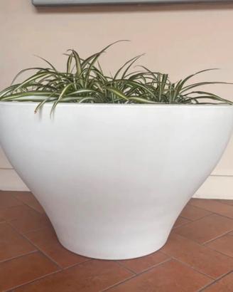 Vaso serralunga ming extra large rodolfo dordoni