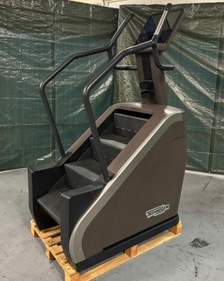 Climb Artis Technogym