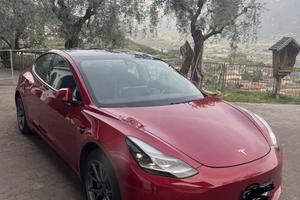 Tesla standar plus con autopilot avanzato