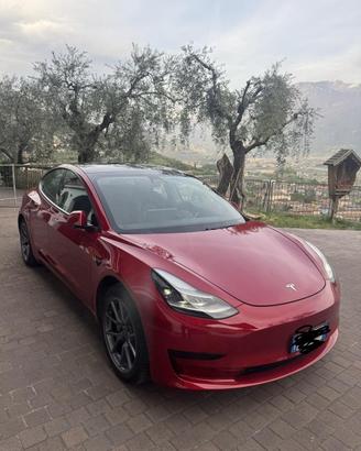 Tesla standar plus con autopilot avanzato