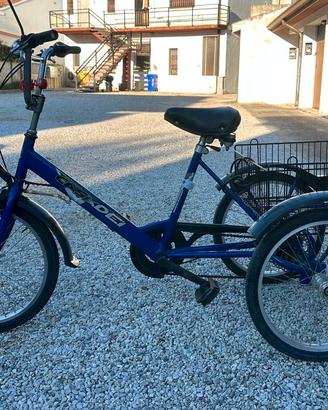 Bicicletta a 3 ruote