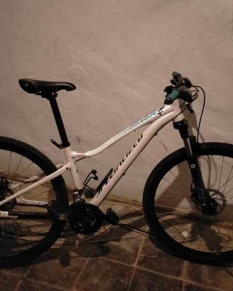 MTB specializet