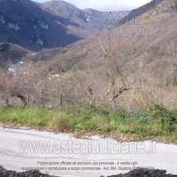 Terreno Agricolo Campagna [A4295013]