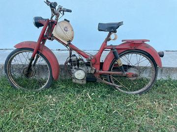 Motom 48 D