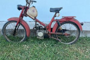 Motom 48 D