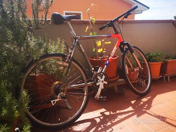 bicicletta MoutanBike