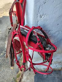 finimento con agganci rapidi 