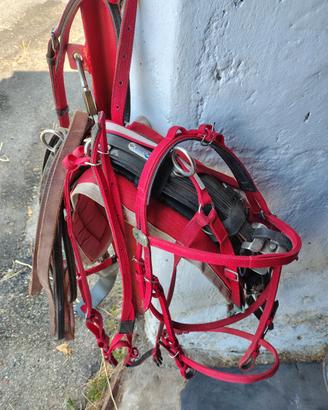 finimento con agganci rapidi 