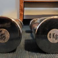 Manubri cromati Salter 4 kg