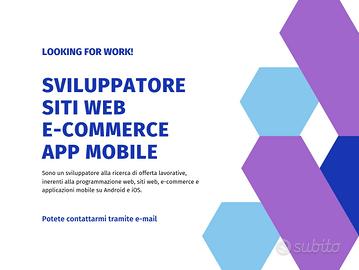 Programmatore Siti Web - App Mobile - Sistemista