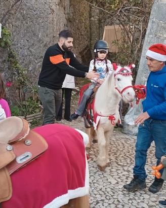 Pony bianca