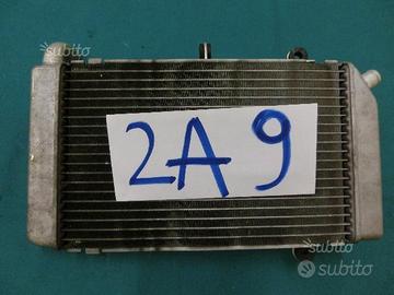 Radiatore honda silver wing