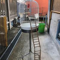 Gabbia per canarini e pappagalli