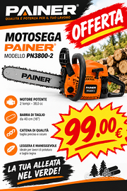 MOTOSEGA PAINER