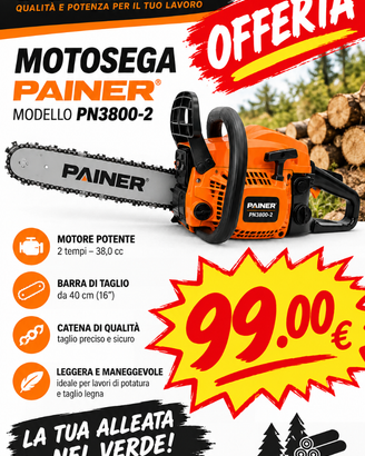 MOTOSEGA PAINER