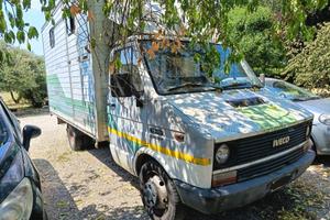 Van trasporto cavalli patente B