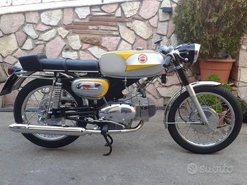 MotoBi SS 250 1969