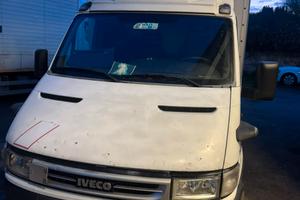 Iveco daily
