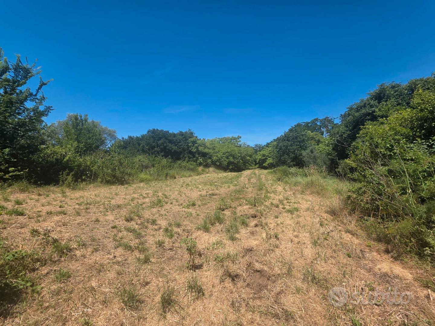 Terreno Agricolo di 7.000 mq - Vista 2