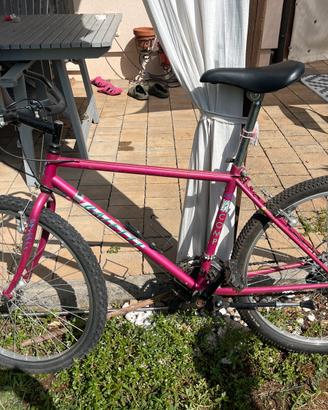 Bicicletta montain bike, ruote da  26