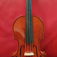 Violino