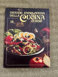 enciclopedia cucina Curcio 24 volumi 