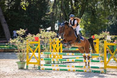 Cavallo