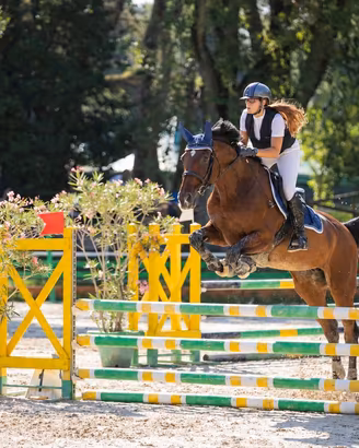 Cavallo