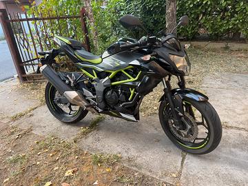Kawasaki Z125 Performance 2021 tagliandata