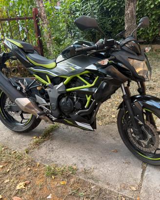 Kawasaki Z125 Performance 2021 tagliandata