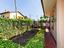 Immagine 12