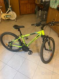 Mtb 24 pollici