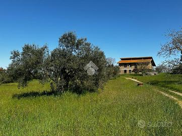 VILLA SINGOLA A VITORCHIANO