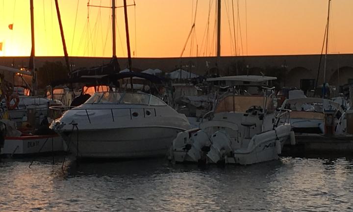 Monterey 262 Cruiser