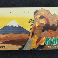 Scheda telefonica Giapponese anno 1991.