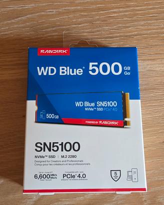 Unità SSD M2 Sandisk 500gb