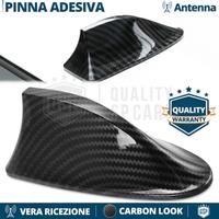 Antenna PINNA SQUALO per SKODA Fibra di CARBONIO