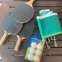 Set ping pong portatile