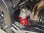Immagine 26