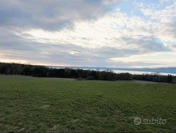 Terreno di 32900 m² a Trevignano Romano - Vista 5