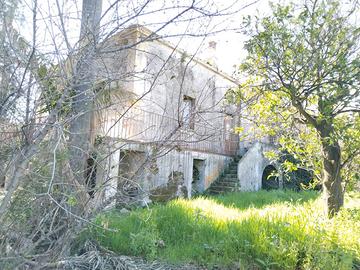 Altarello palazzo padronale con terreno