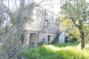 Altarello palazzo padronale con terreno