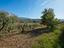 Immagine 20