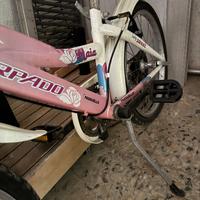 Bici Passuello raggio 20