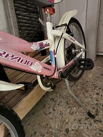 Bici Passuello raggio 20