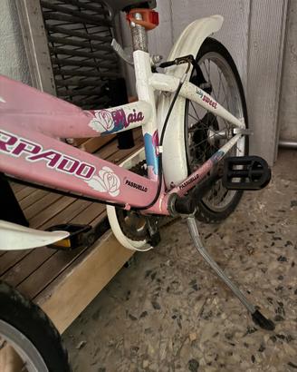 Bici Passuello raggio 20